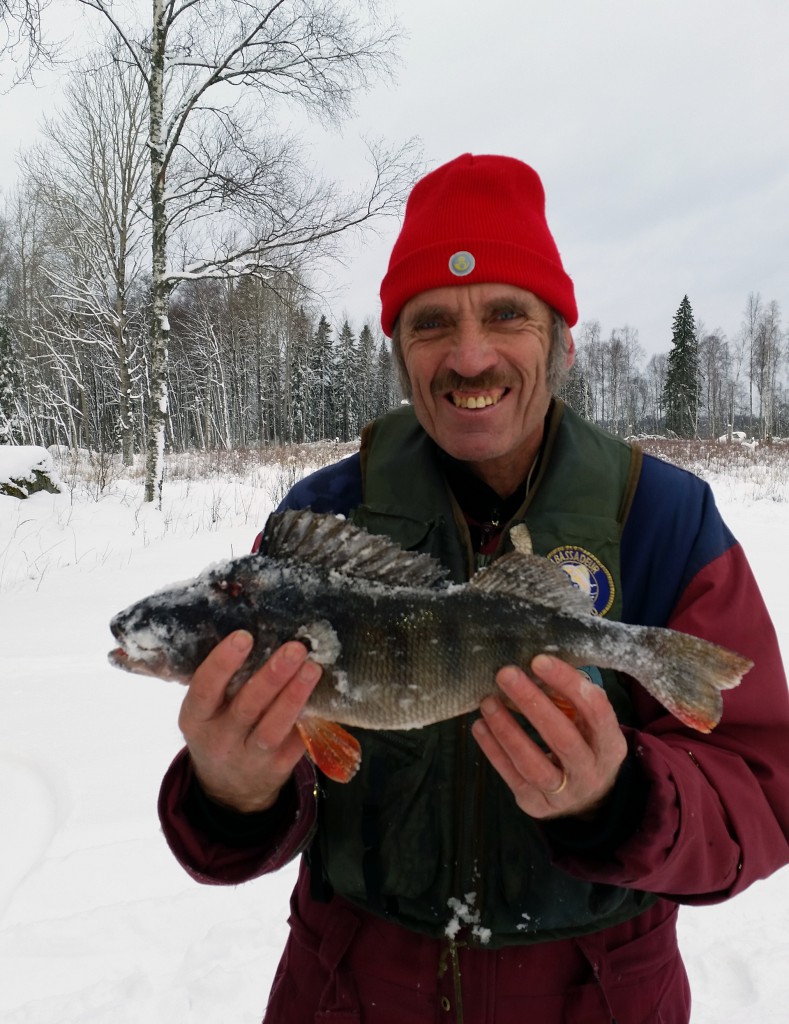 Jan Norén med en abborre som vägde hela 1305 gram!